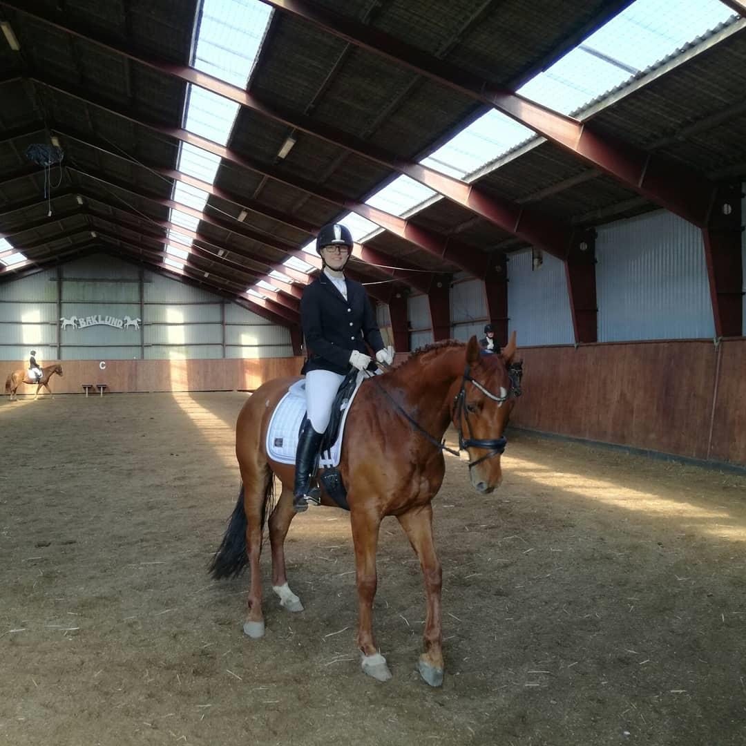 Anden særlig race Balu billede 6