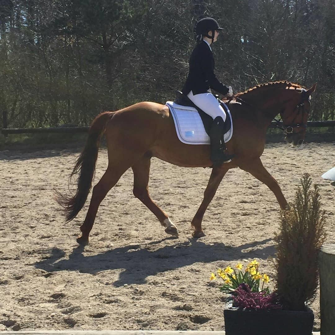 Anden særlig race Balu billede 3