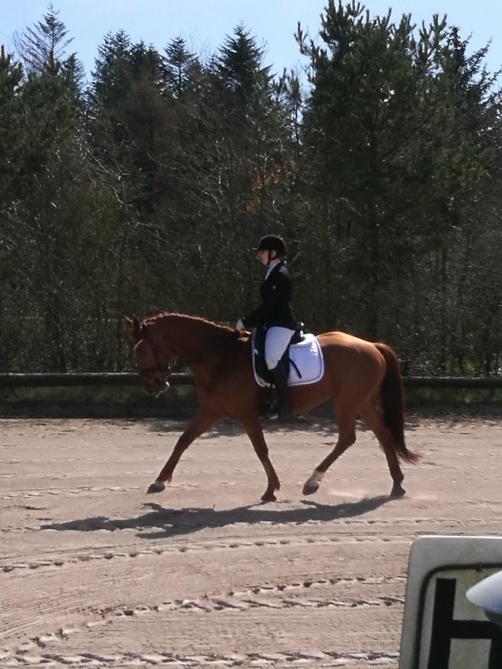 Anden særlig race Balu billede 2