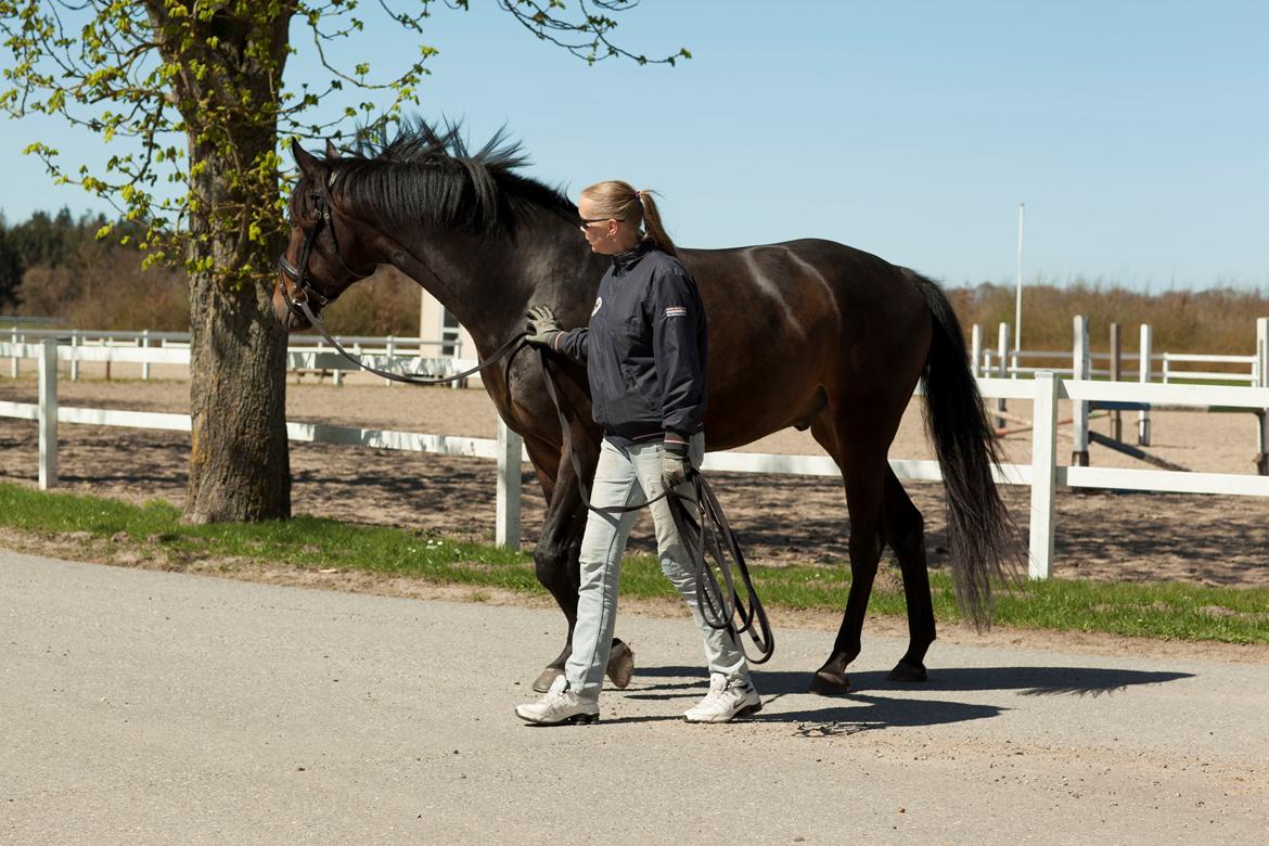 Anden særlig race Vejrholms Canto billede 10