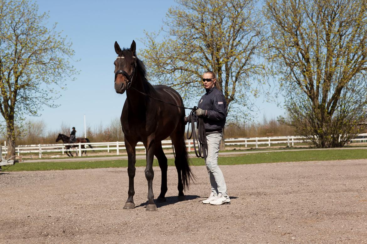 Anden særlig race Vejrholms Canto billede 14