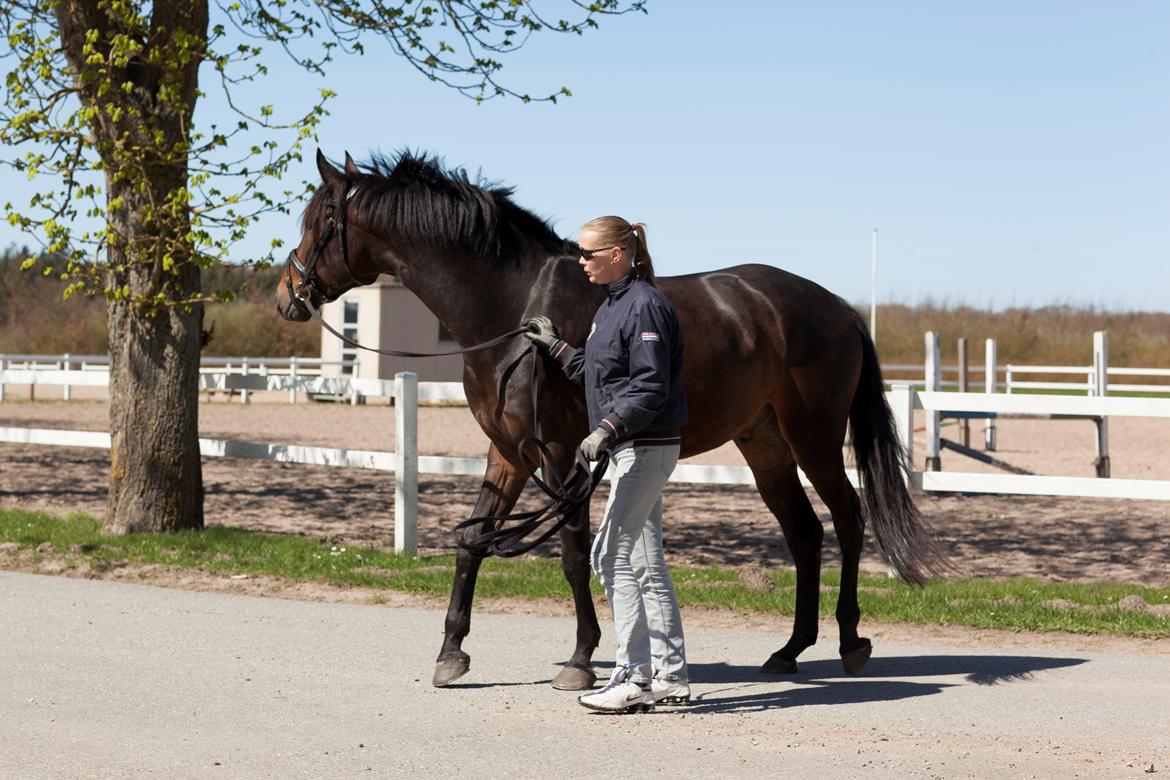 Anden særlig race Vejrholms Canto billede 15