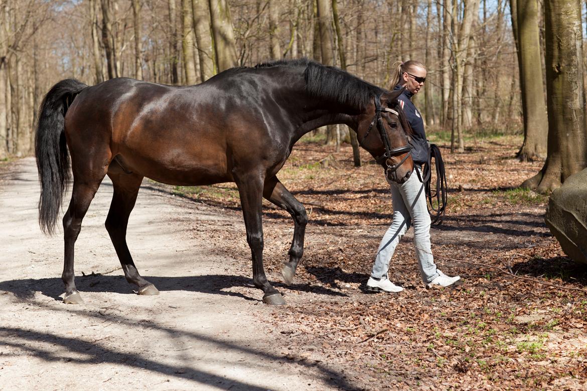 Anden særlig race Vejrholms Canto billede 19