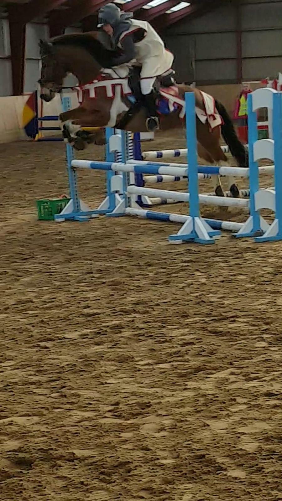 Anden særlig race Sir Lancelot - Fastalavnsstævne i hylke hvor vi vandt bedste udklædning billede 8