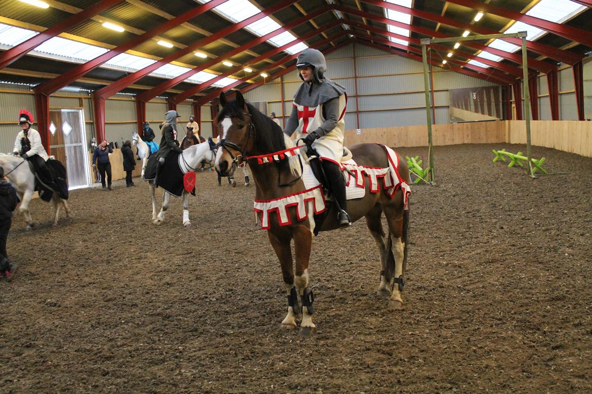 Anden særlig race Sir Lancelot - Fastalavnsringridning i stalden 2018 billede 7