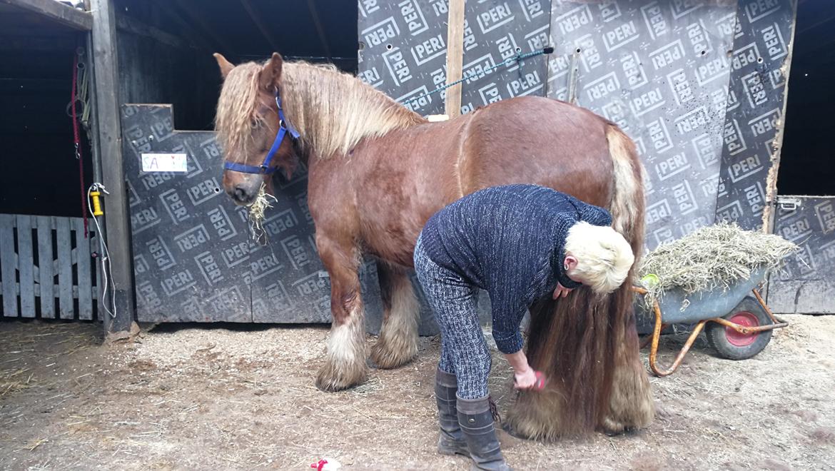 Jyde Fie tindbæklund billede 3