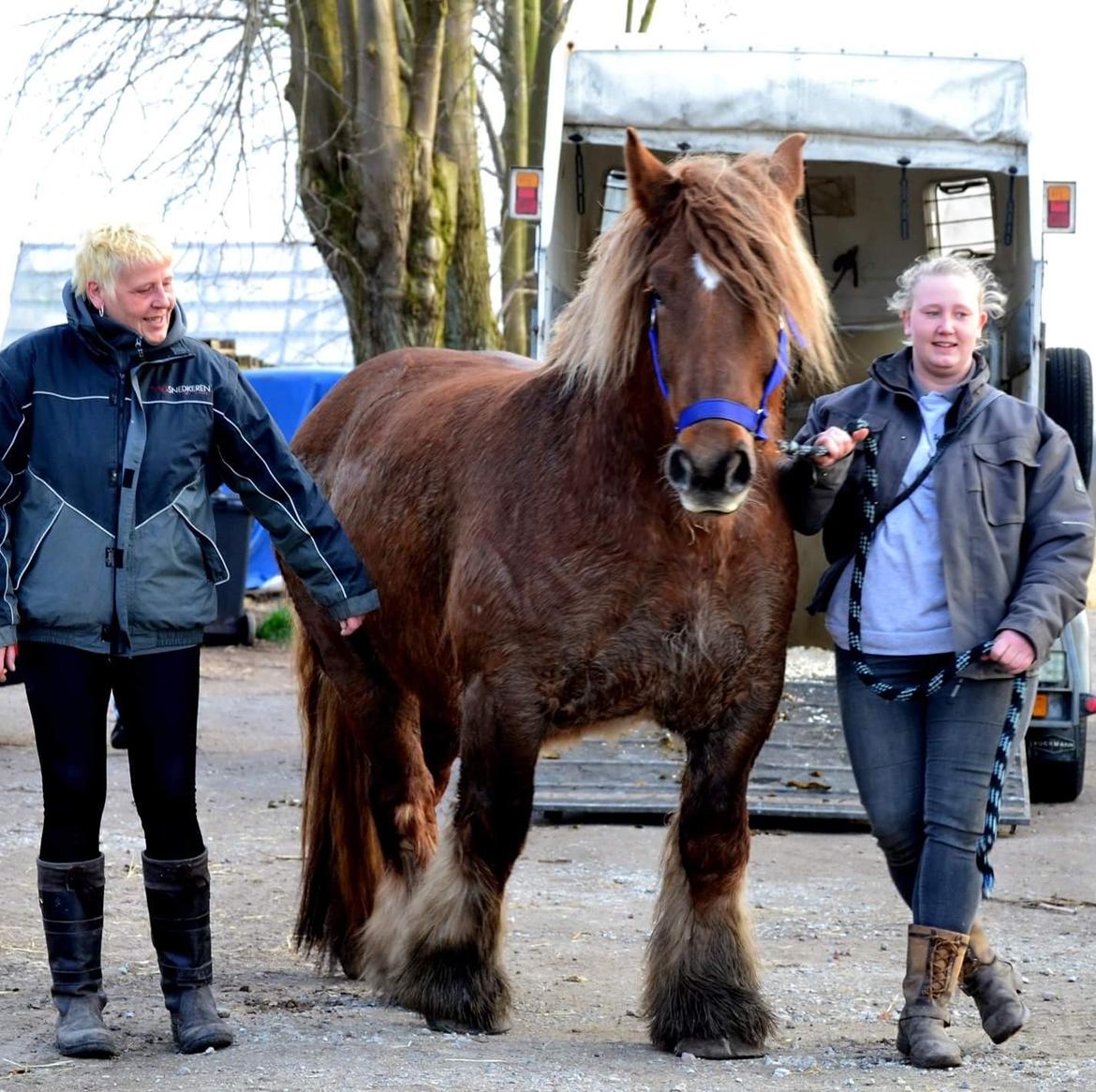 Jyde Fie tindbæklund billede 8