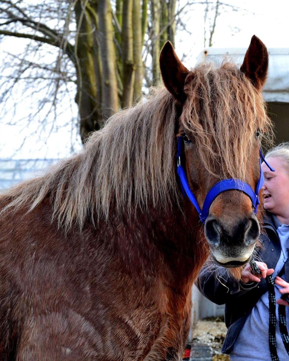 Jyde Fie tindbæklund billede 12