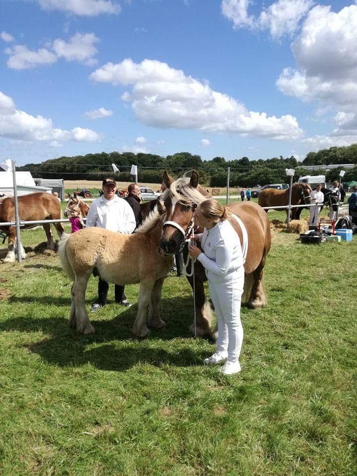 Jyde Triton Tindbæklund - dyrskue med mor fionia tindbæklund billede 19