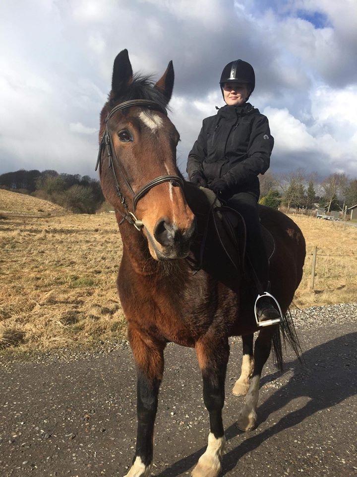 Dansk Varmblod Sunday Silence  - Sunday & jeg. Første gang jeg red hende - 26/3 18 billede 4