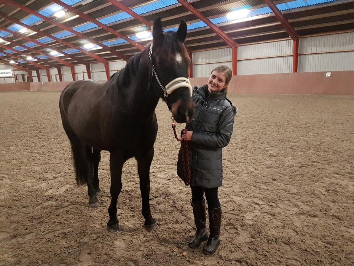 Oldenborg Zejr af Østerdovergaard - 20/1 2018 - dagen han blev min billede 17