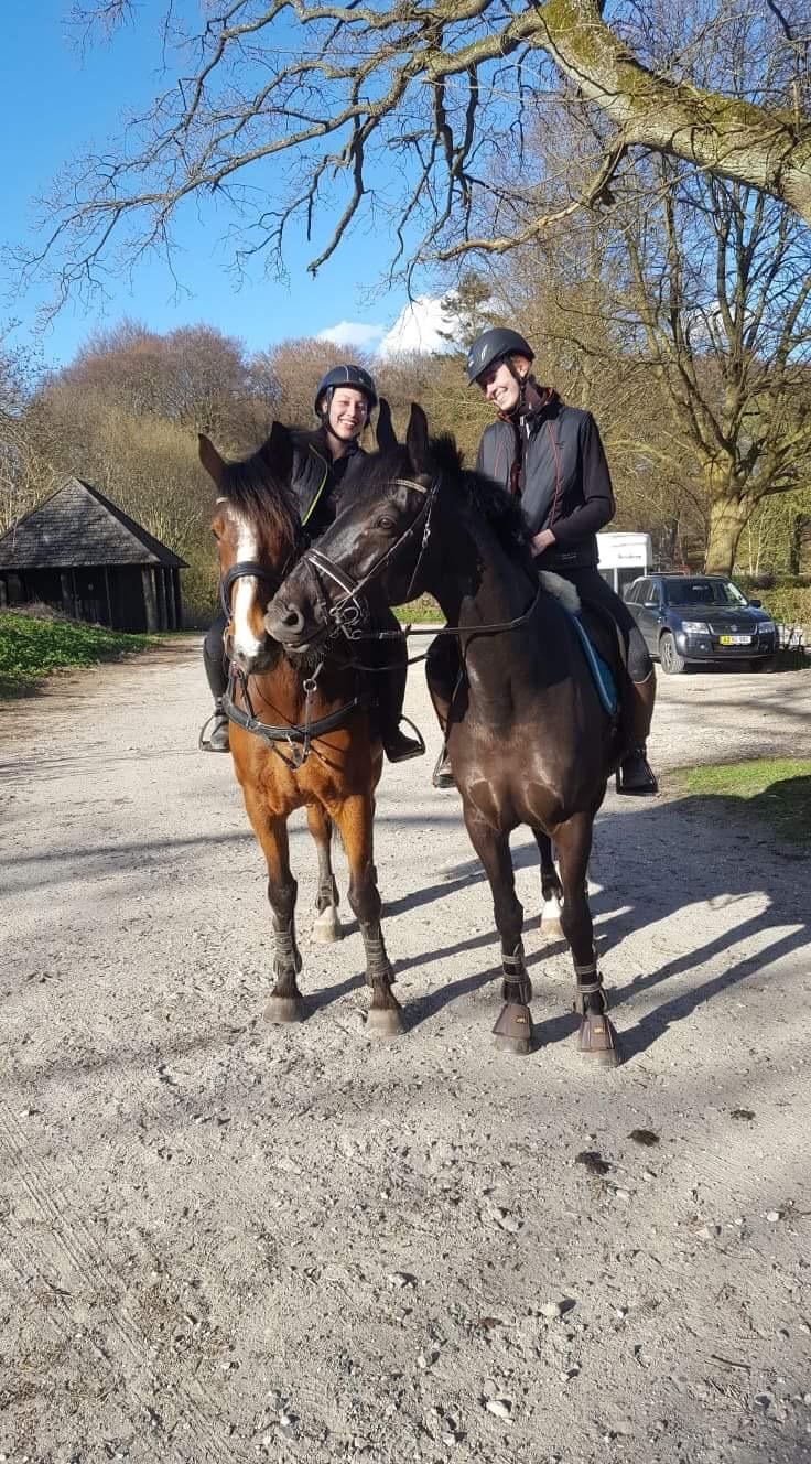 Anden særlig race Egekjaers Casmir - en tur i dyrehaven med bedsteveninden billede 7