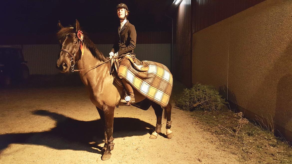 Anden særlig race Egekjaers Casmir - stævne på Amager billede 18