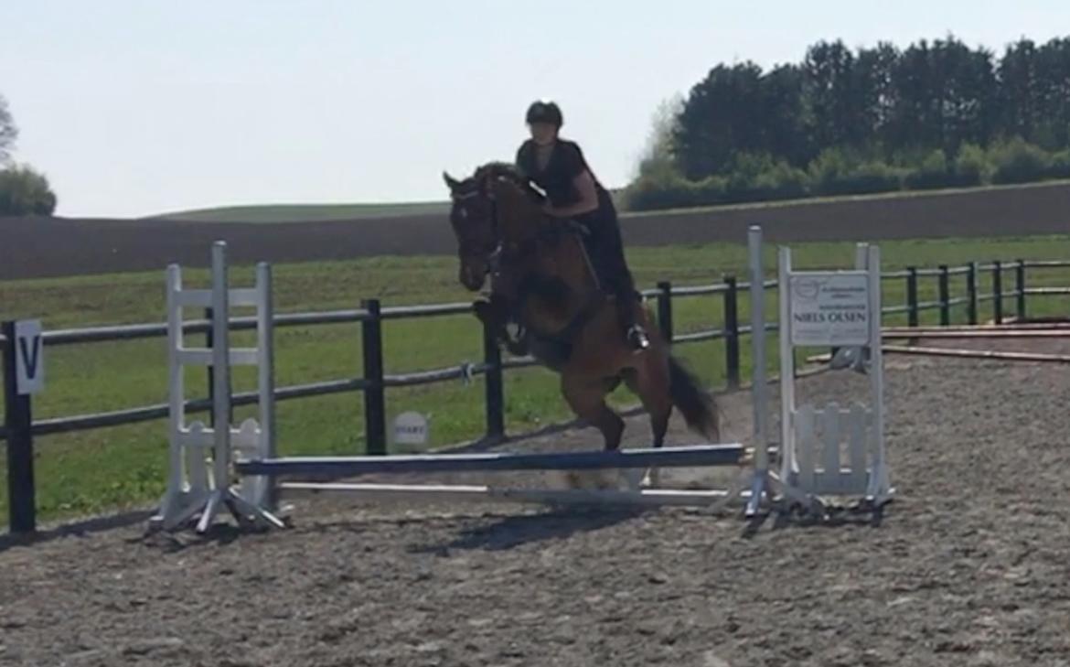 Holstener Luna - Første gang på udebane d. 28/4.18 billede 20