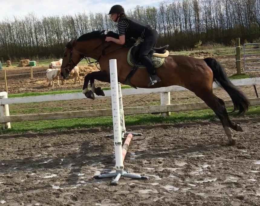 Holstener Luna billede 13