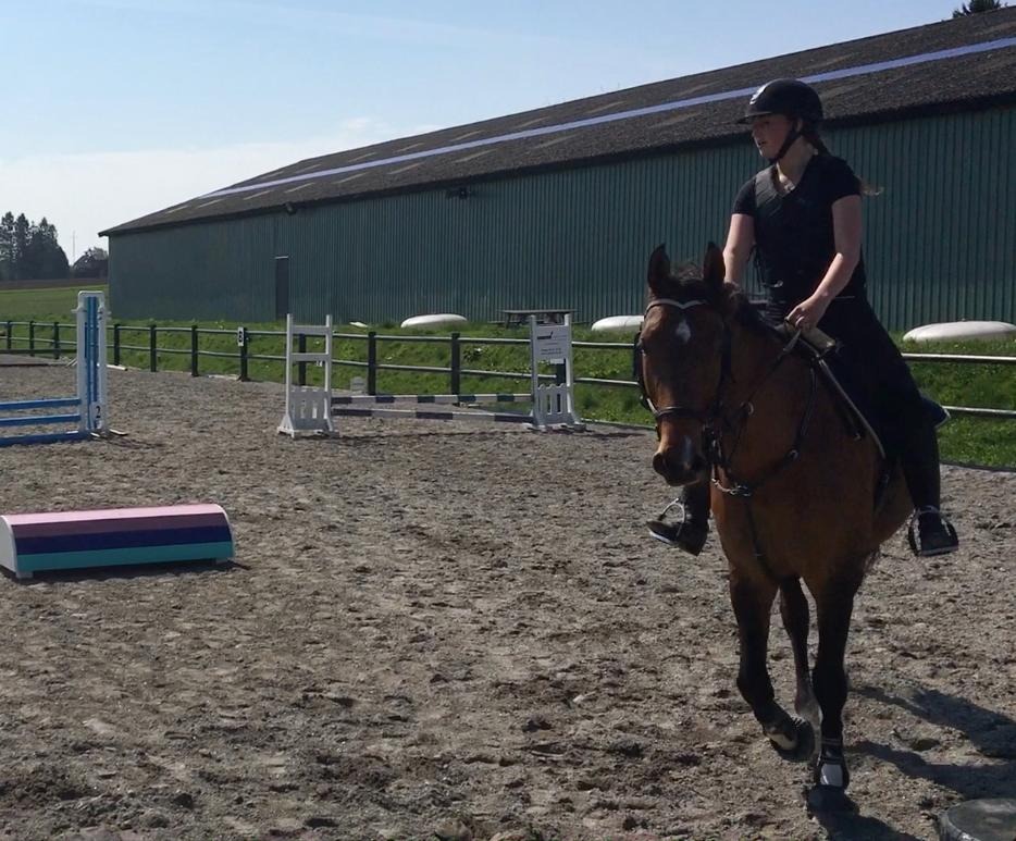 Holstener Luna billede 10