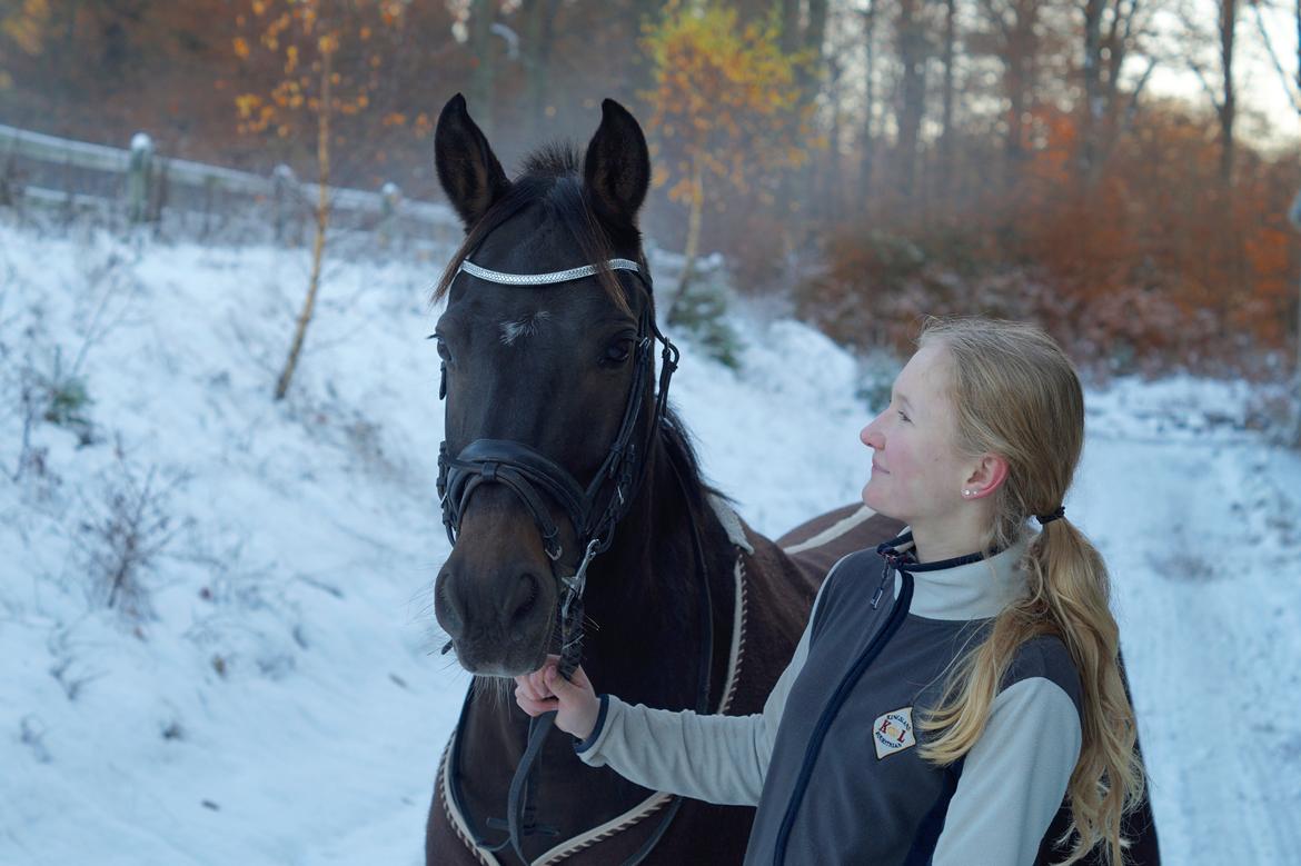 DSP Stidsbjergs champion billede 5