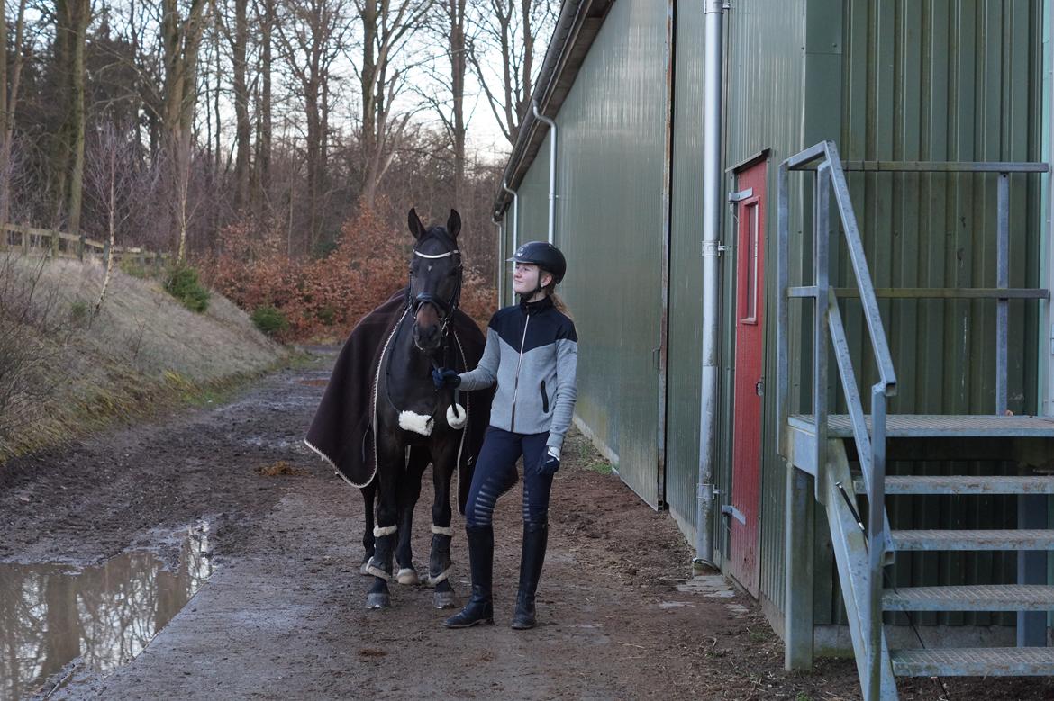 DSP Stidsbjergs champion billede 8