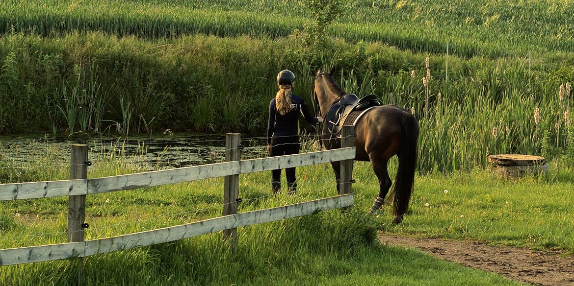 DSP Stidsbjergs champion billede 10