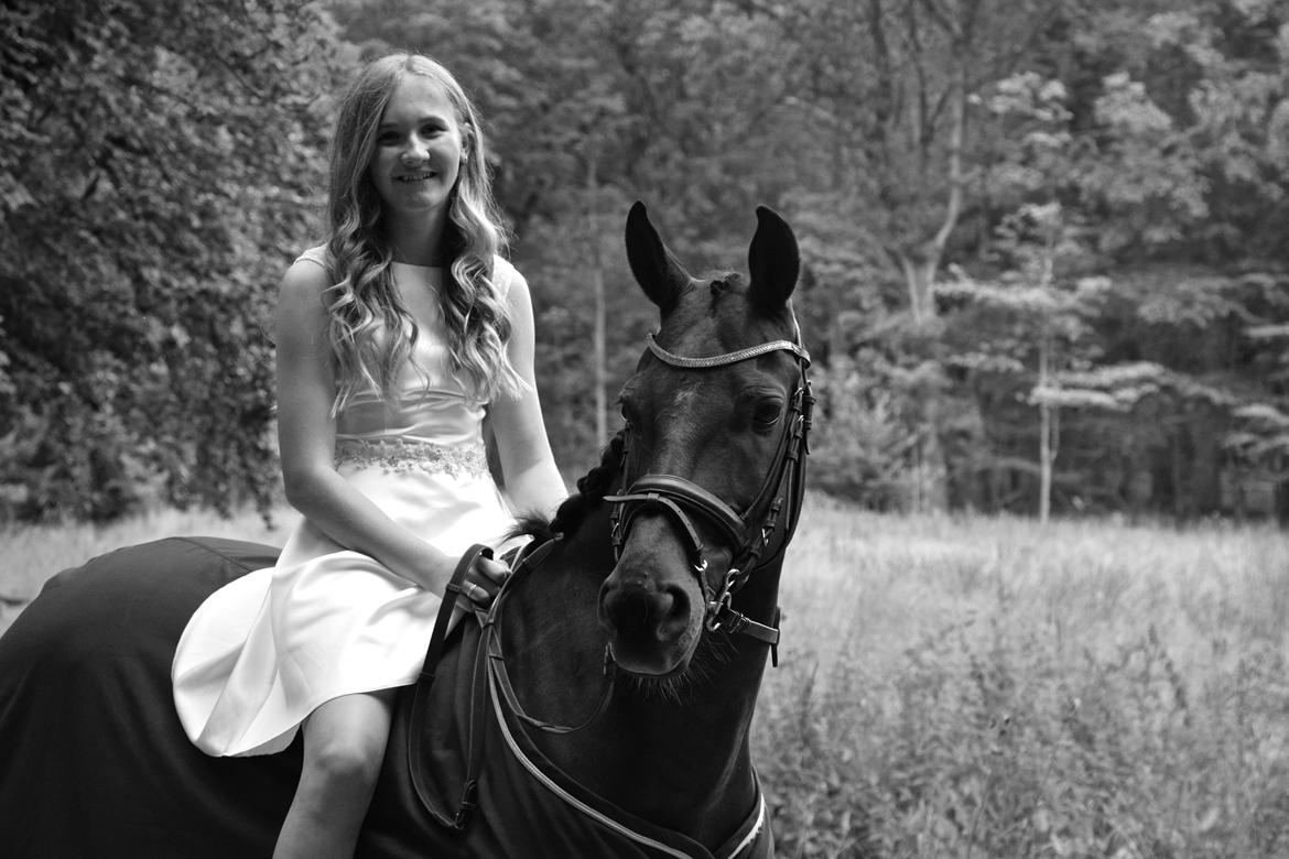 DSP Stidsbjergs champion billede 1