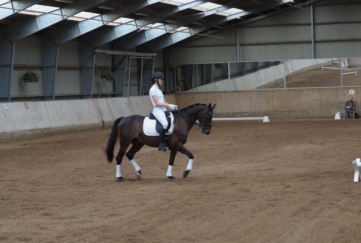 DSP Stidsbjergs champion billede 11