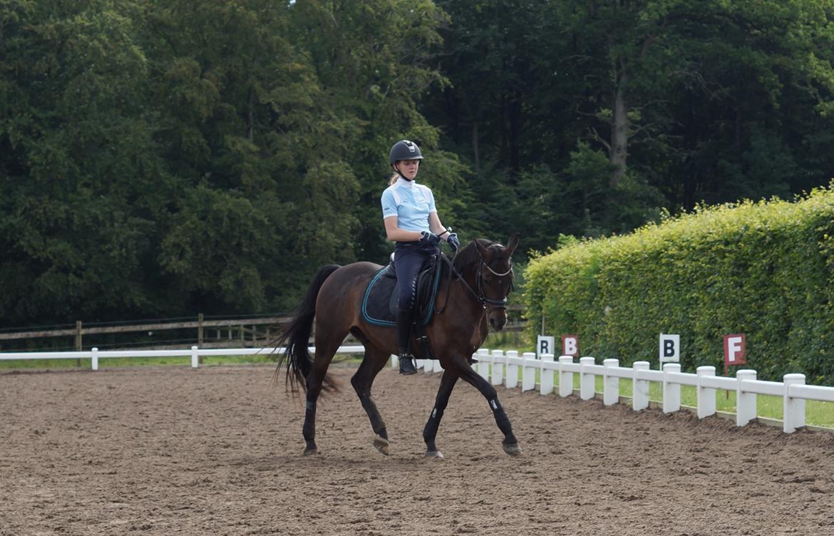 DSP Stidsbjergs champion billede 2