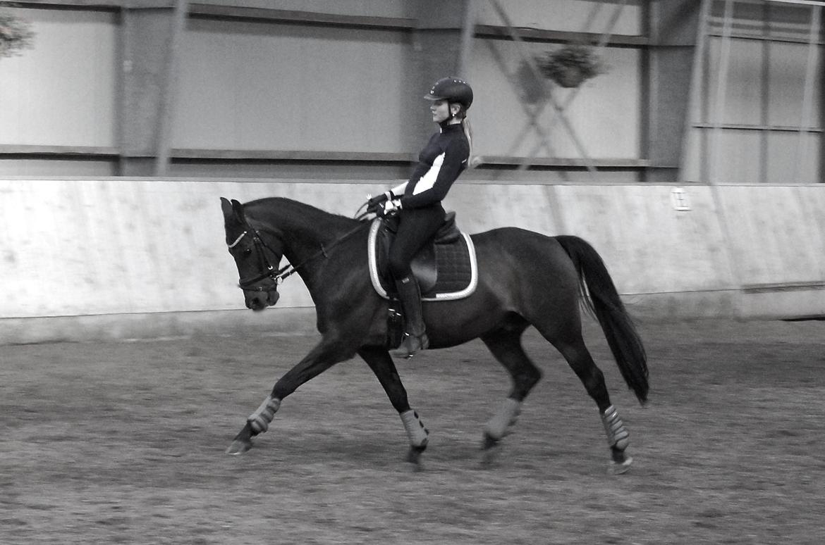 DSP Stidsbjergs champion billede 9