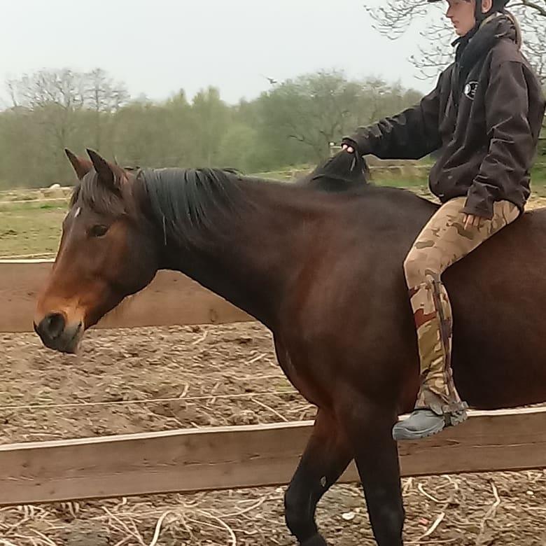 Traver Zygor <3 - Seje dreng ❤ billede 11