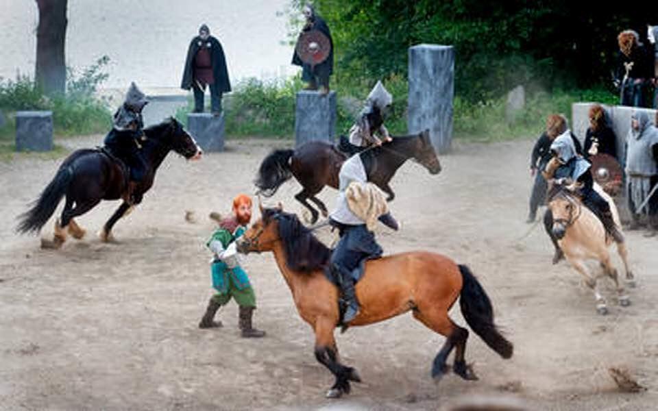 Anden særlig race Vedtoftes Duchess - Jels Vikingespil 2017 billede 4