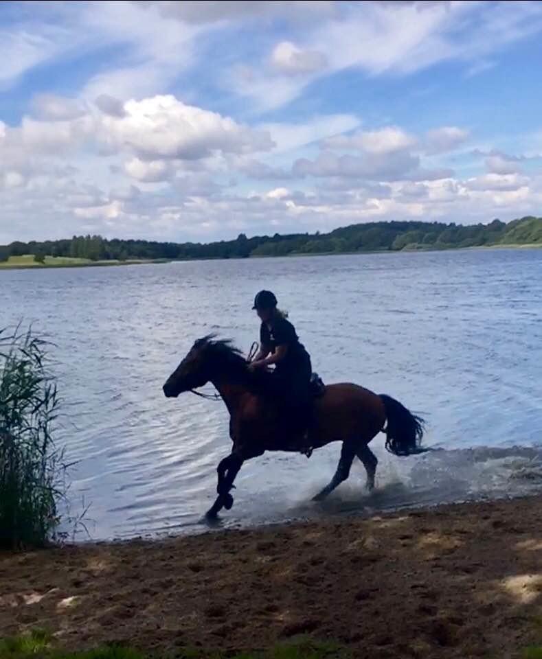 Anden særlig race Vedtoftes Duchess - Jels :) billede 6