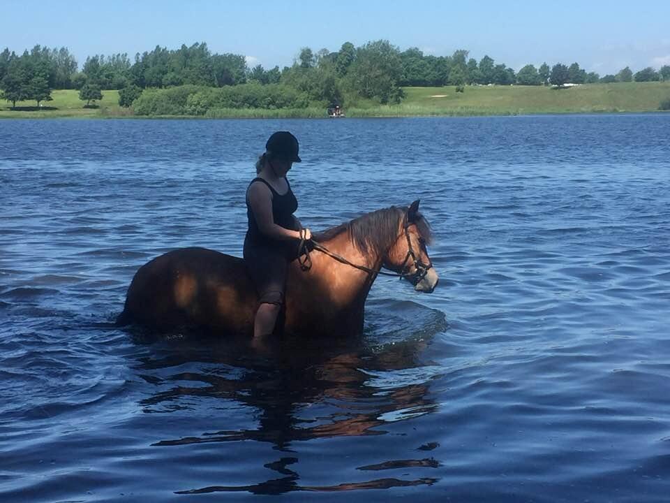 Anden særlig race Vedtoftes Duchess - Jels sø igen :) billede 7