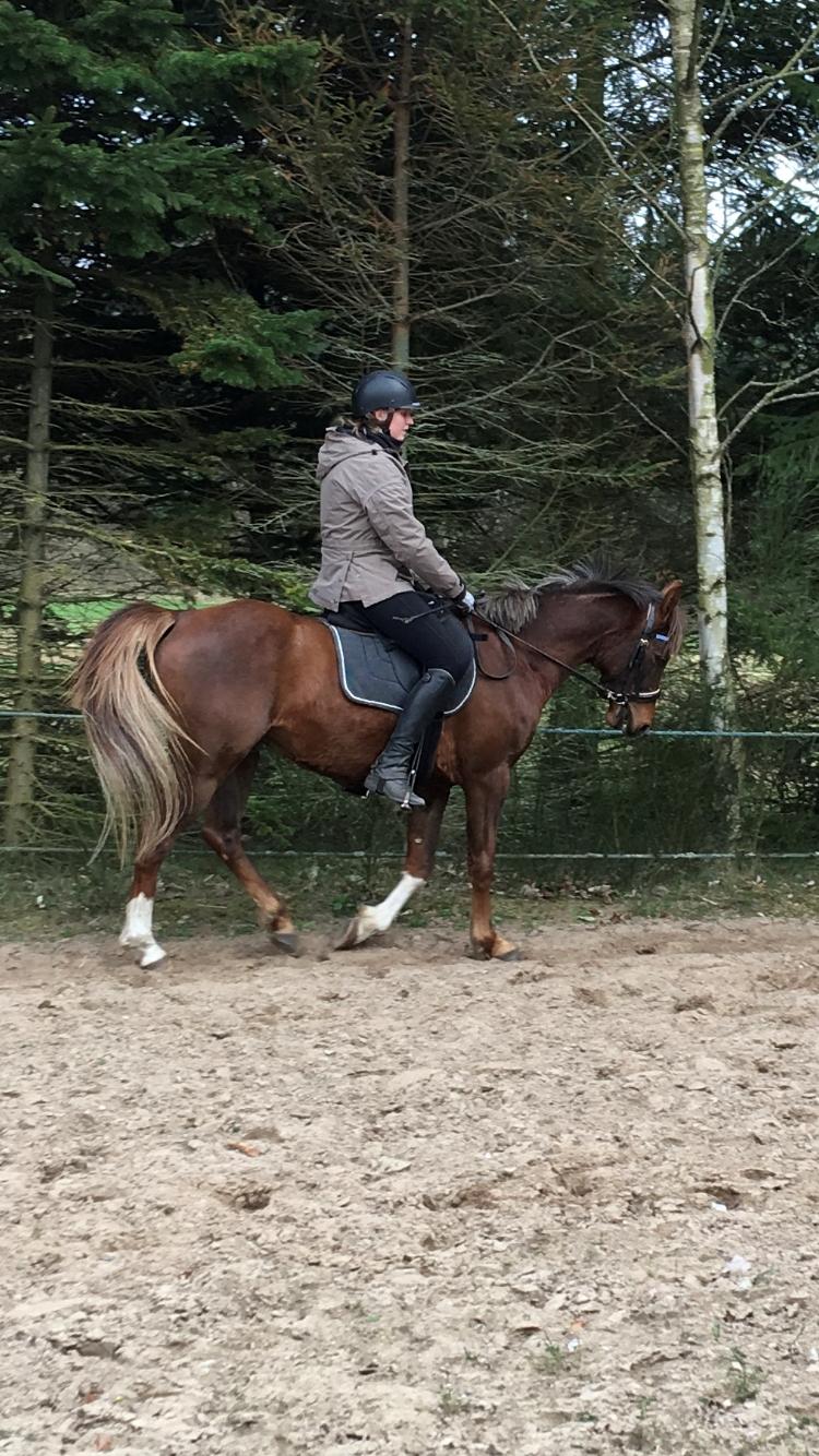 Anden særlig race de Rosche´s Turbo Speed billede 22