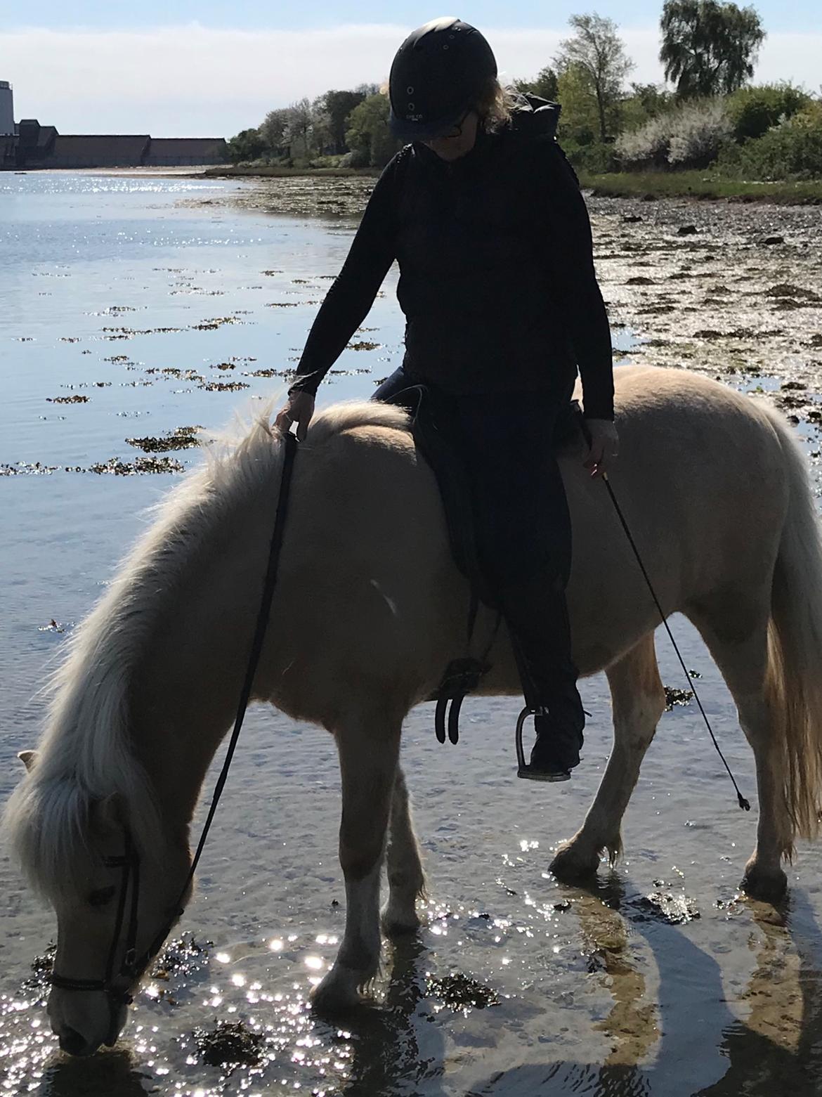 Islænder Jònina fra Isafold  billede 13