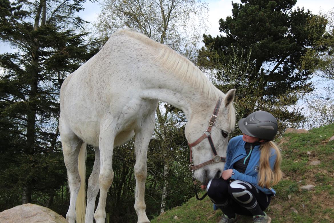 Anden særlig race Happy billede 11