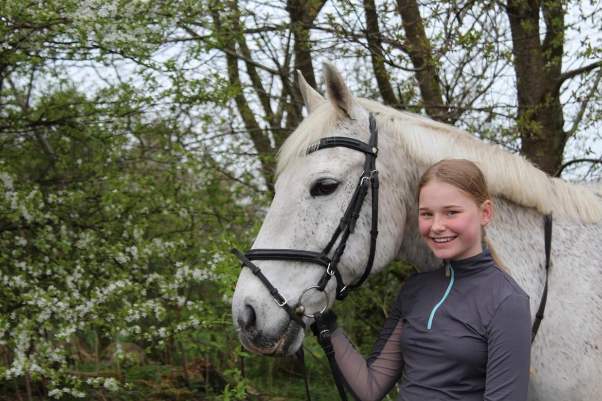 Anden særlig race Happy billede 13