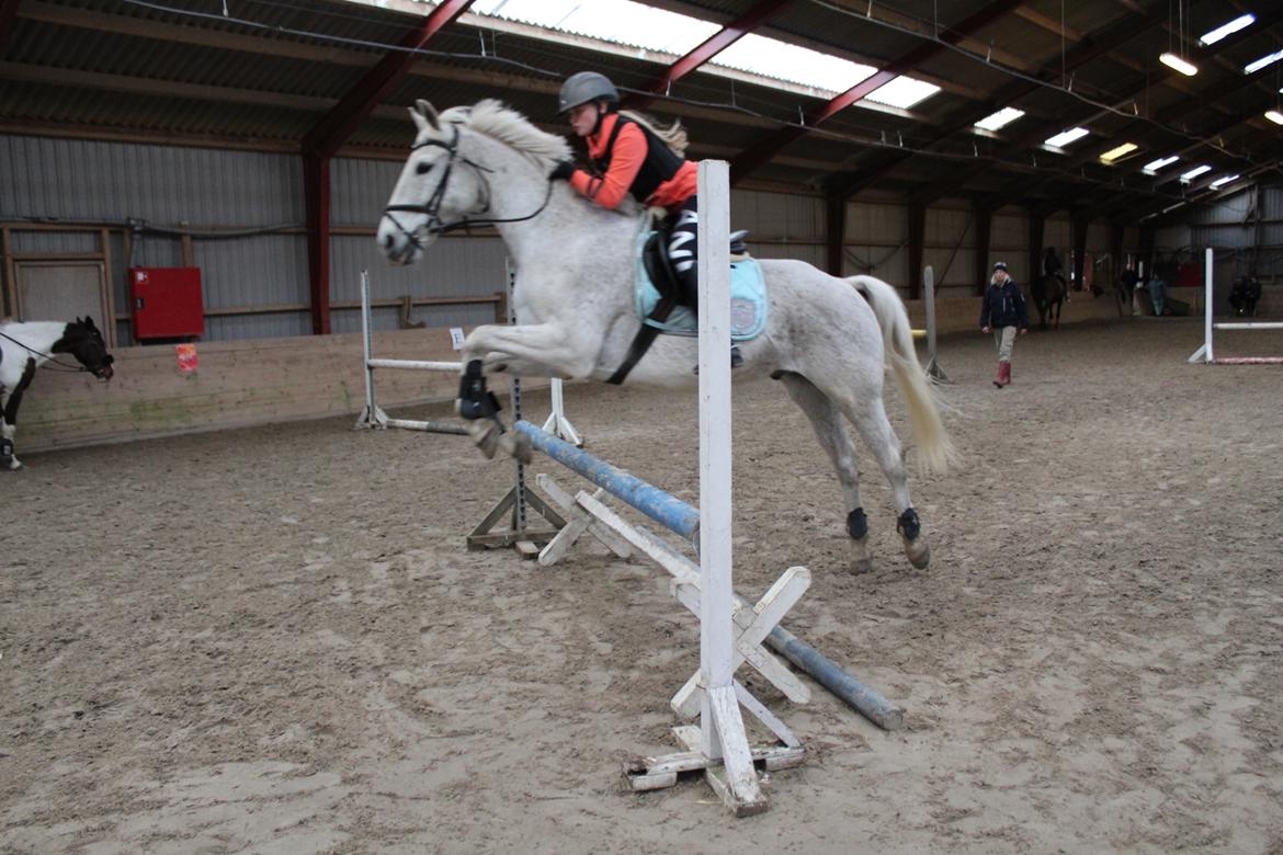 Anden særlig race Happy billede 14