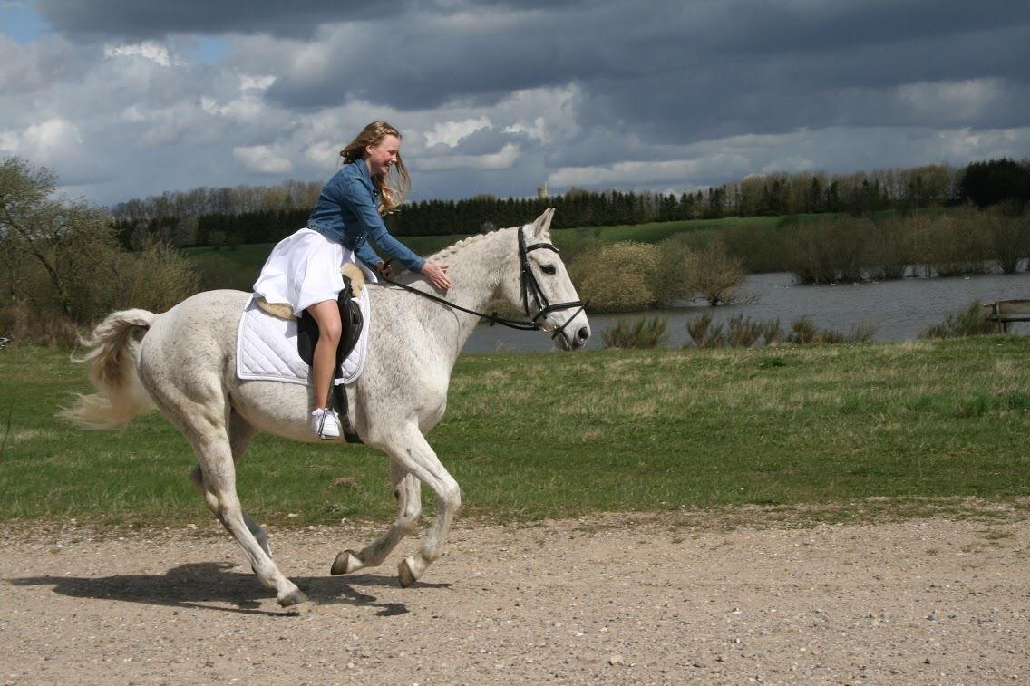 Anden særlig race Happy billede 18