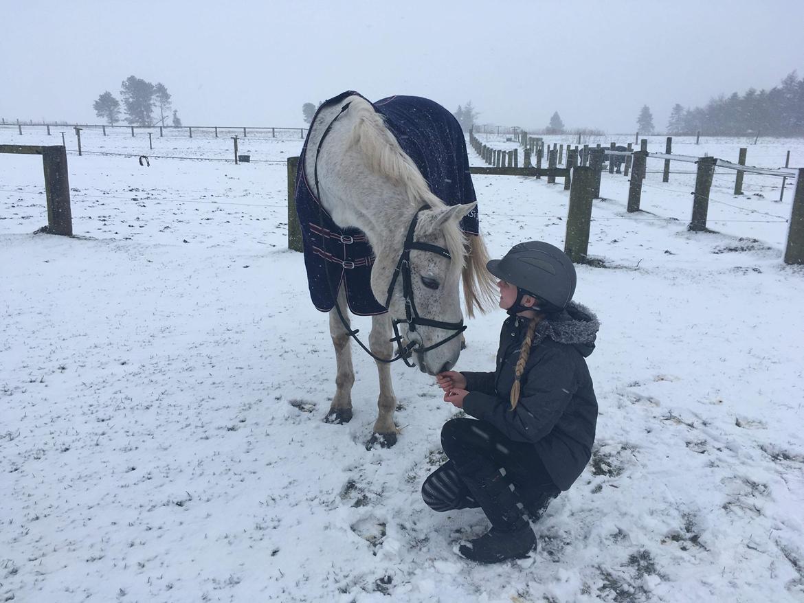 Anden særlig race Happy billede 20