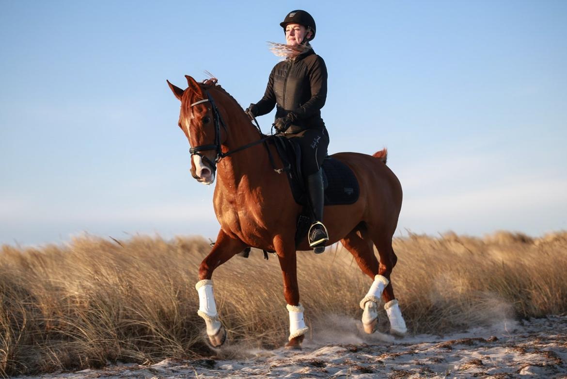 Anden særlig race Magnolias Jessica billede 2