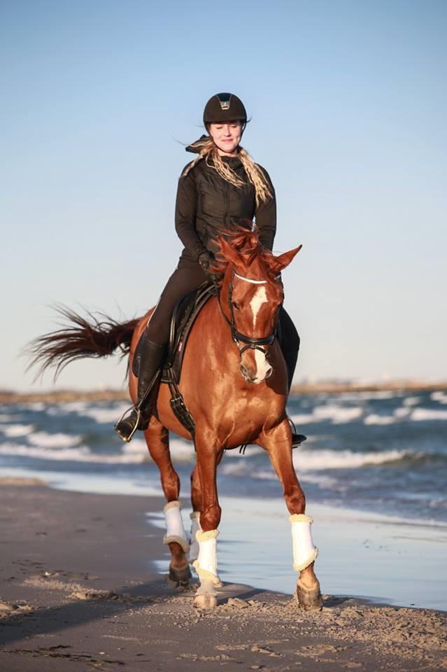 Anden særlig race Magnolias Jessica billede 3