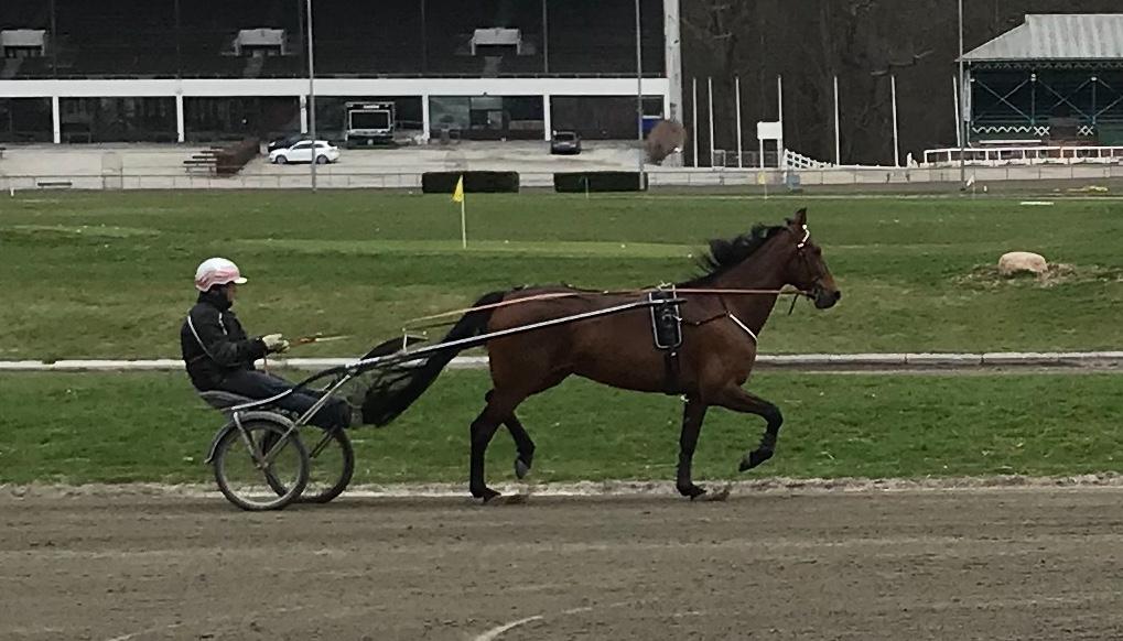 Traver Treasure Me K G billede 13