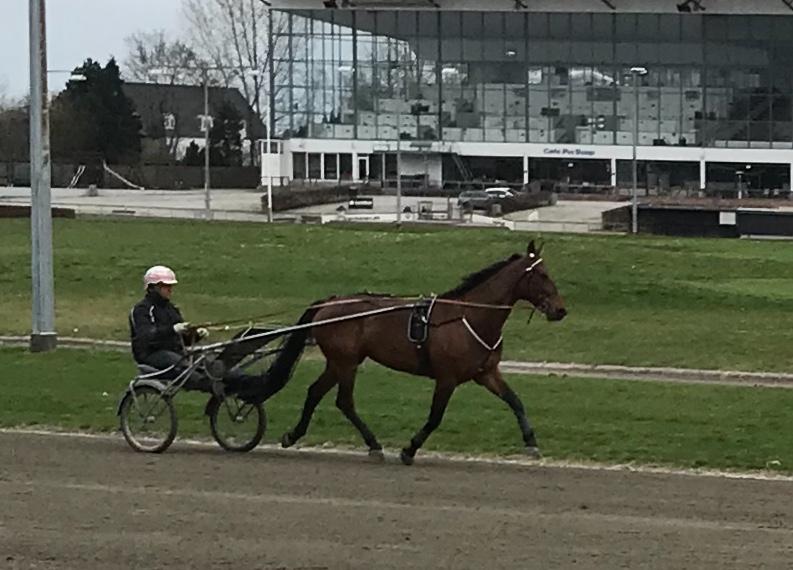 Traver Treasure Me K G billede 14