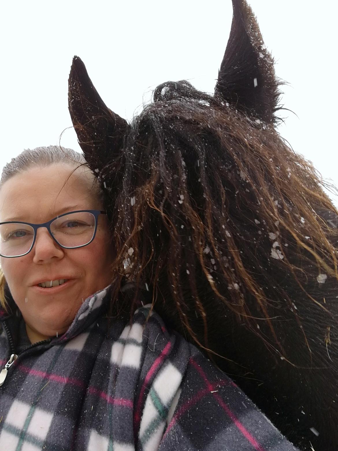 Frieser Uno (Parthest)  billede 5