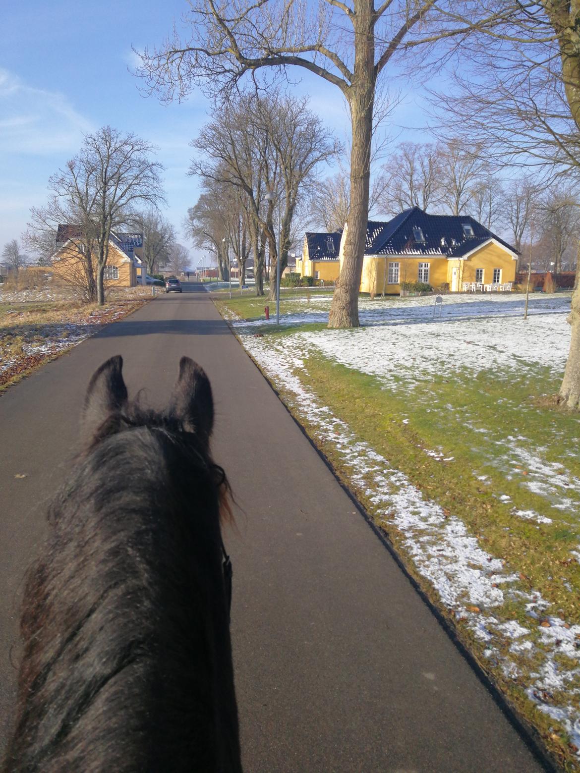 Frieser Uno (Parthest)  billede 7