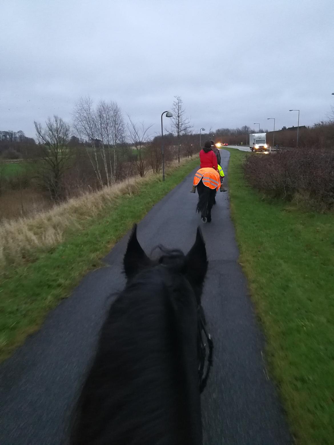 Frieser Uno (Parthest)  billede 8