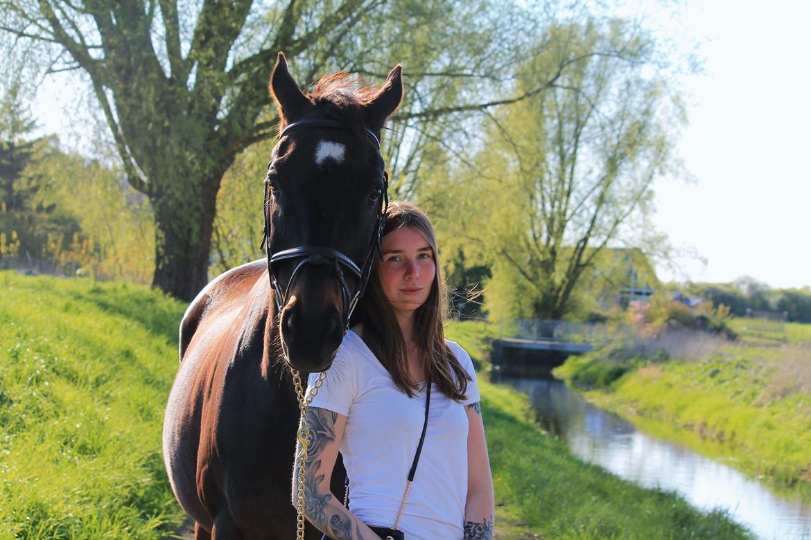 Fuldblod (XX) Casino XX RIP billede 2