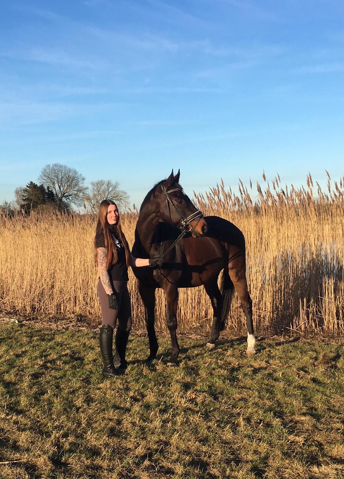 Fuldblod (XX) Casino XX RIP billede 5