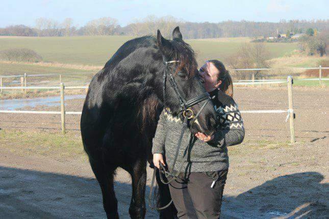 Frieser Uno (Parthest)  billede 13