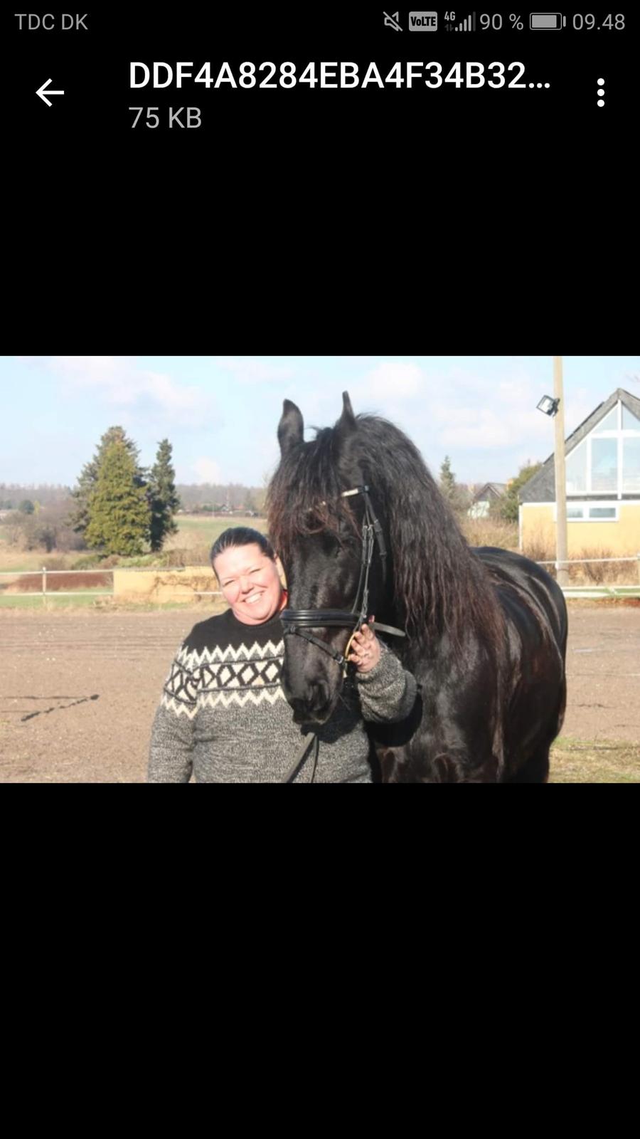 Frieser Uno (Parthest)  billede 14