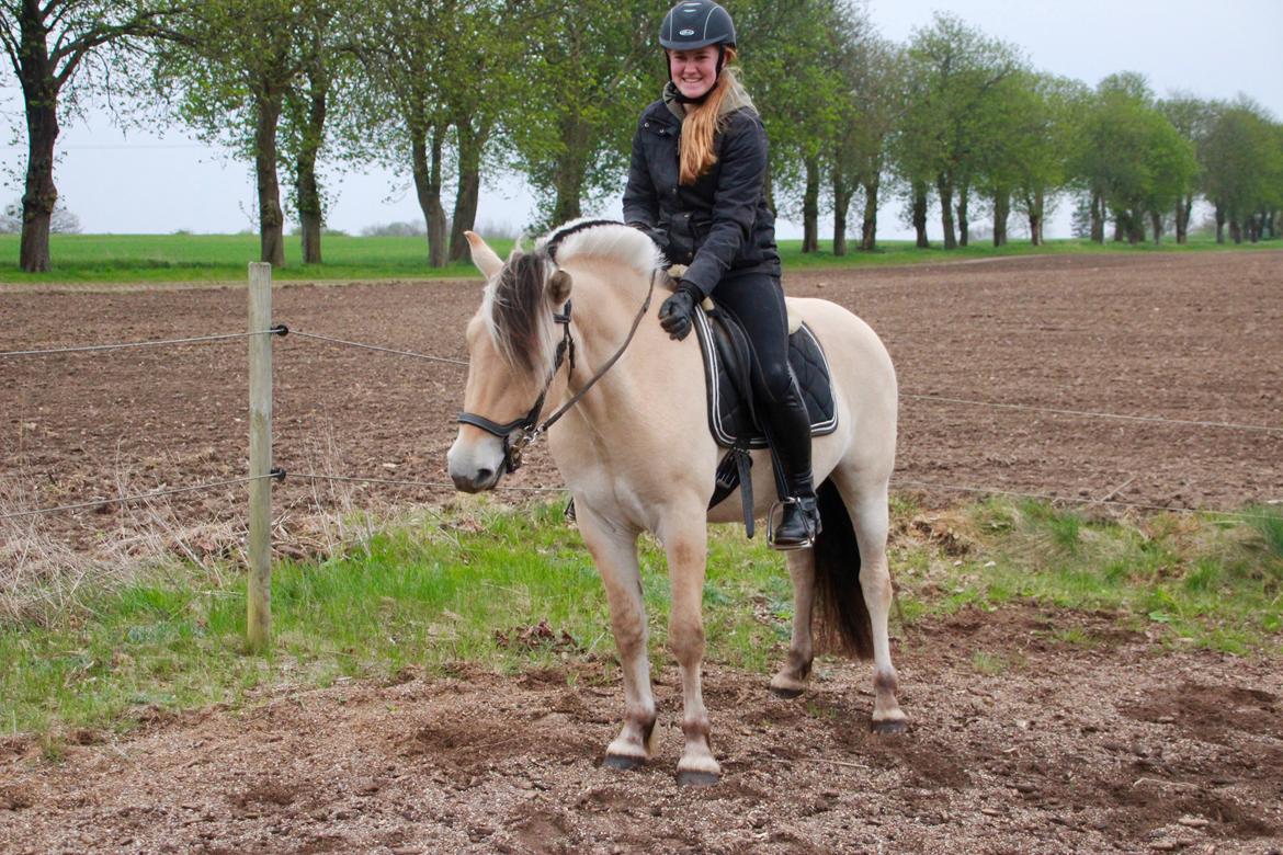 Fjordhest Lamhaves Casjo Sejr - Første gang på ryggen af Casjo d. 28. april 2018 billede 2